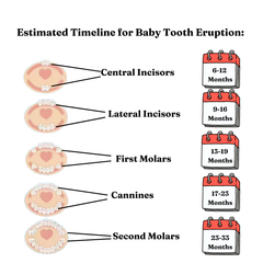 Teething Pain Relief For Babies - Teethee