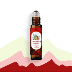 Daily Essentials with 4 Pack(Shwas + Jumpkin + Kavach + Praana)